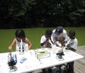 kids and adult doing science experiments